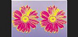 Andy Warhol Daisy Double Pink painting